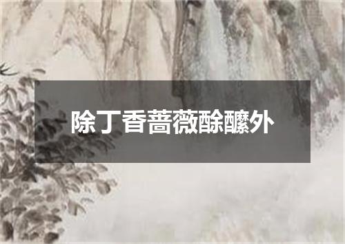 除丁香蔷薇酴醿外