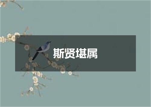 斯贤堪属