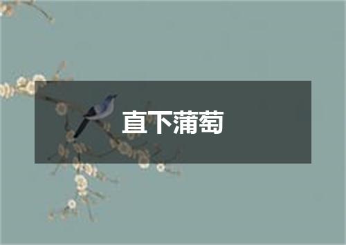 直下蒲萄