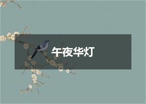午夜华灯