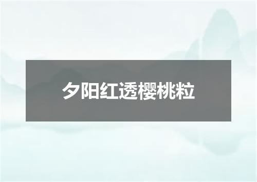 夕阳红透樱桃粒