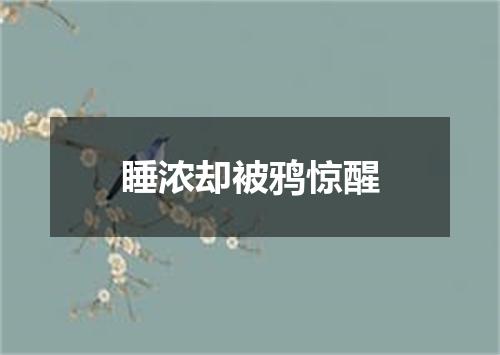 睡浓却被鸦惊醒