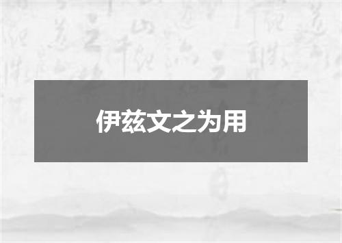 伊兹文之为用