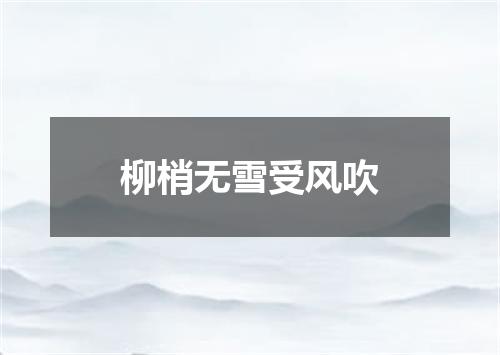 柳梢无雪受风吹