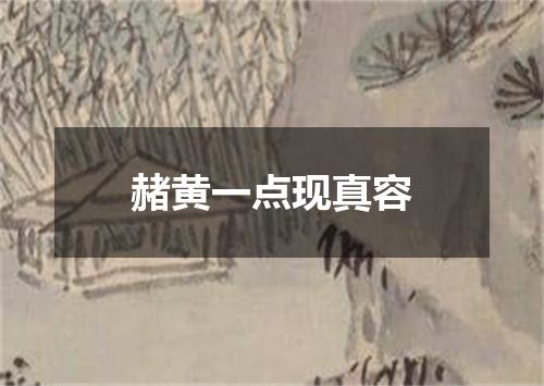 赭黄一点现真容