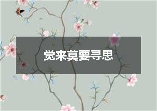 觉来莫要寻思