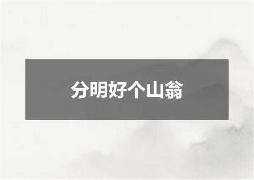 分明好个山翁
