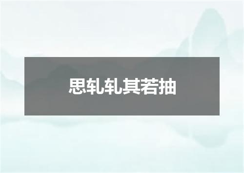 思轧轧其若抽