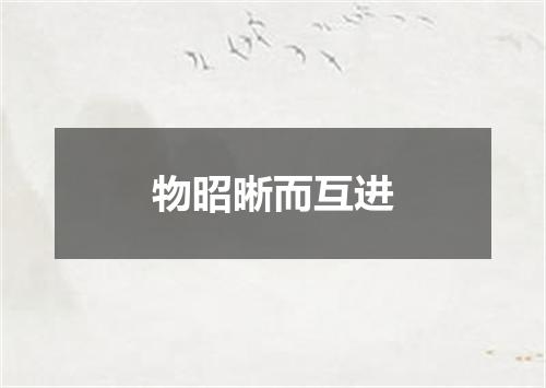 物昭晰而互进