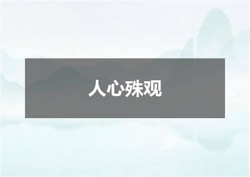 人心殊观