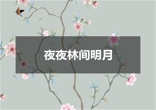夜夜林间明月