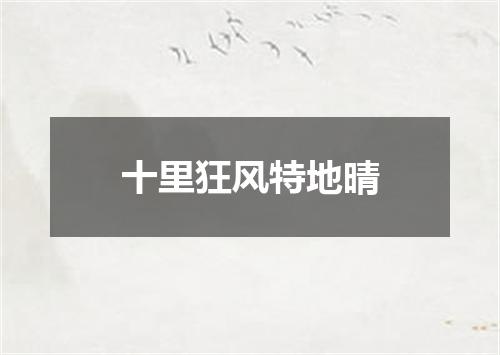 十里狂风特地晴