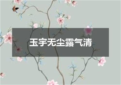 玉宇无尘露气清