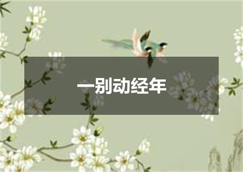 一别动经年