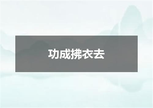 功成拂衣去