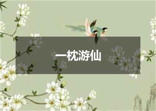 一枕游仙