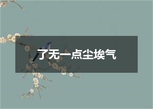 了无一点尘埃气