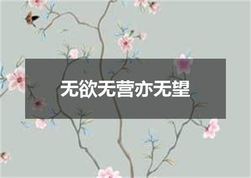 无欲无营亦无望