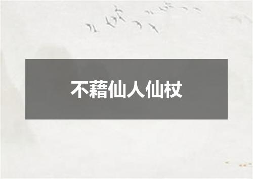 不藉仙人仙杖