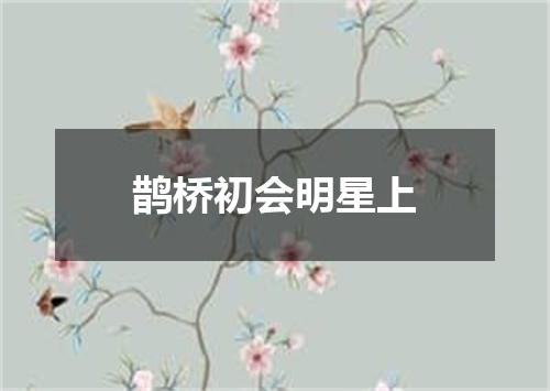 鹊桥初会明星上