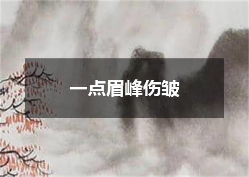 一点眉峰伤皱
