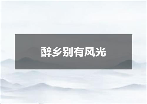 醉乡别有风光