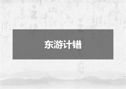 东游计错