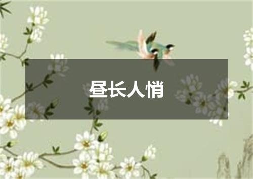 昼长人悄