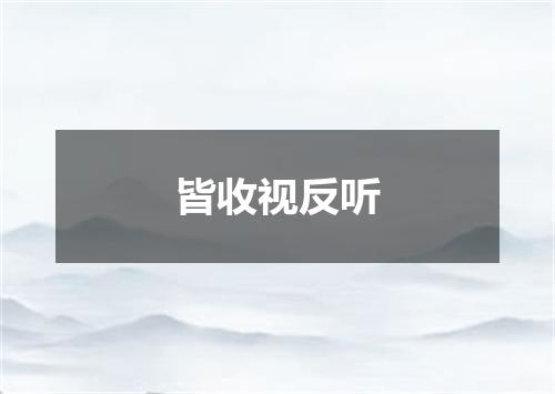 皆收视反听