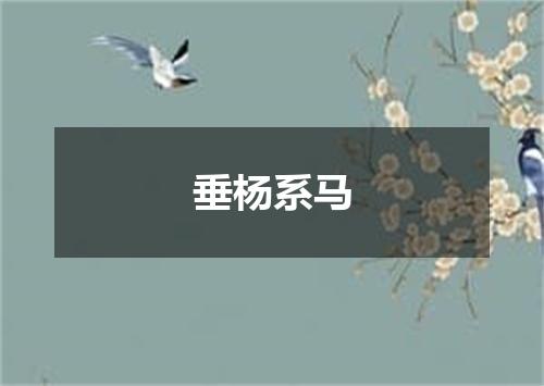 垂杨系马