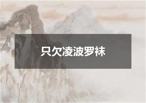 只欠凌波罗袜