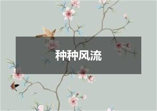 种种风流