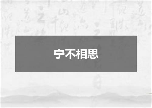 宁不相思