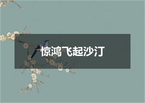 惊鸿飞起沙汀