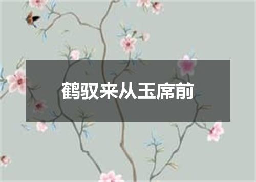鹤驭来从玉席前
