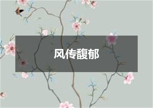 风传馥郁