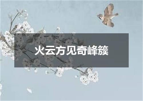 火云方见奇峰簇