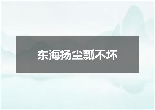 东海扬尘瓢不坏