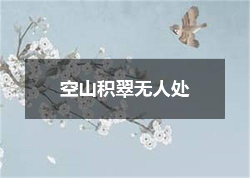 空山积翠无人处