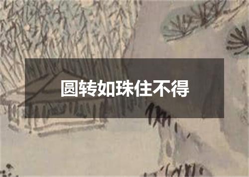 圆转如珠住不得