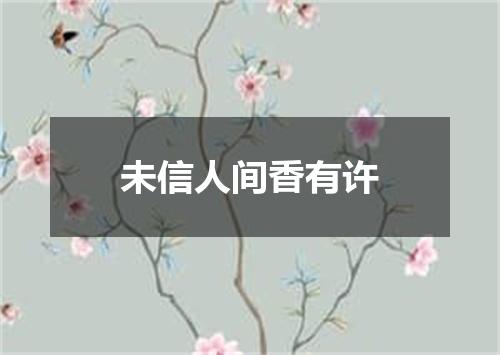 未信人间香有许