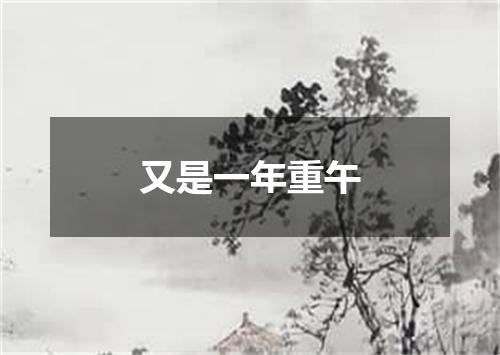 又是一年重午
