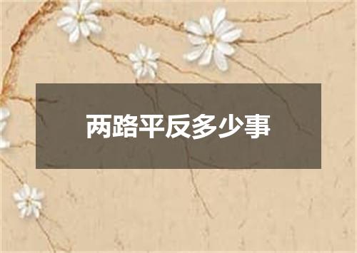 两路平反多少事