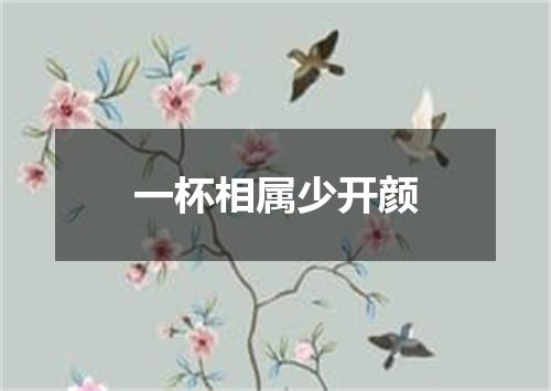 一杯相属少开颜