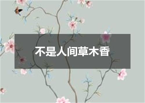 不是人间草木香