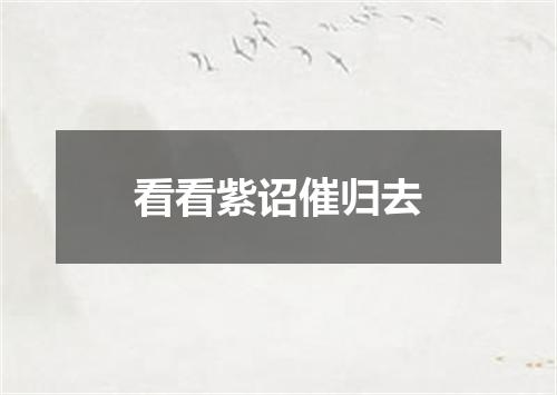 看看紫诏催归去