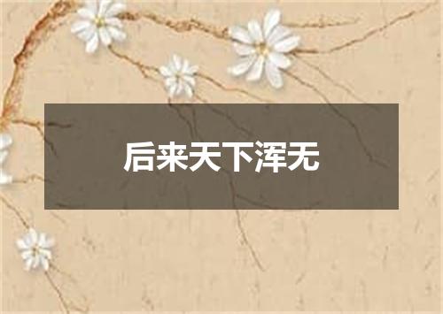 后来天下浑无