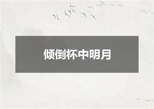 倾倒杯中明月