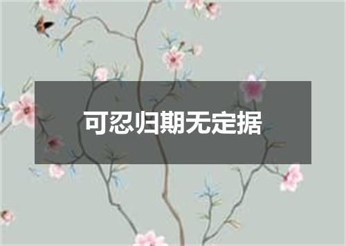 可忍归期无定据