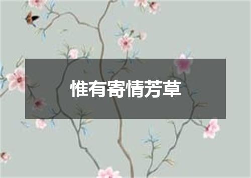 惟有寄情芳草